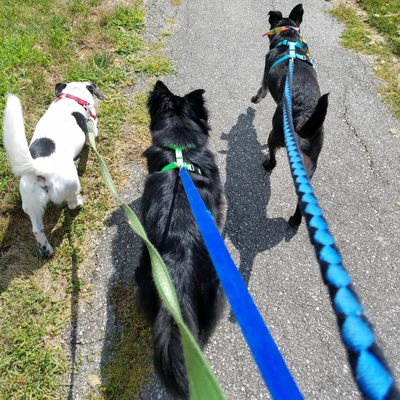 Meet your Posher - Picture 4 of 7